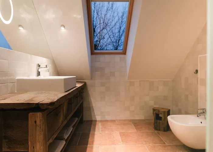 Daire Novak -modern Barn Loft Dvor