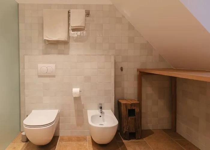 Daire Novak -modern Barn Loft